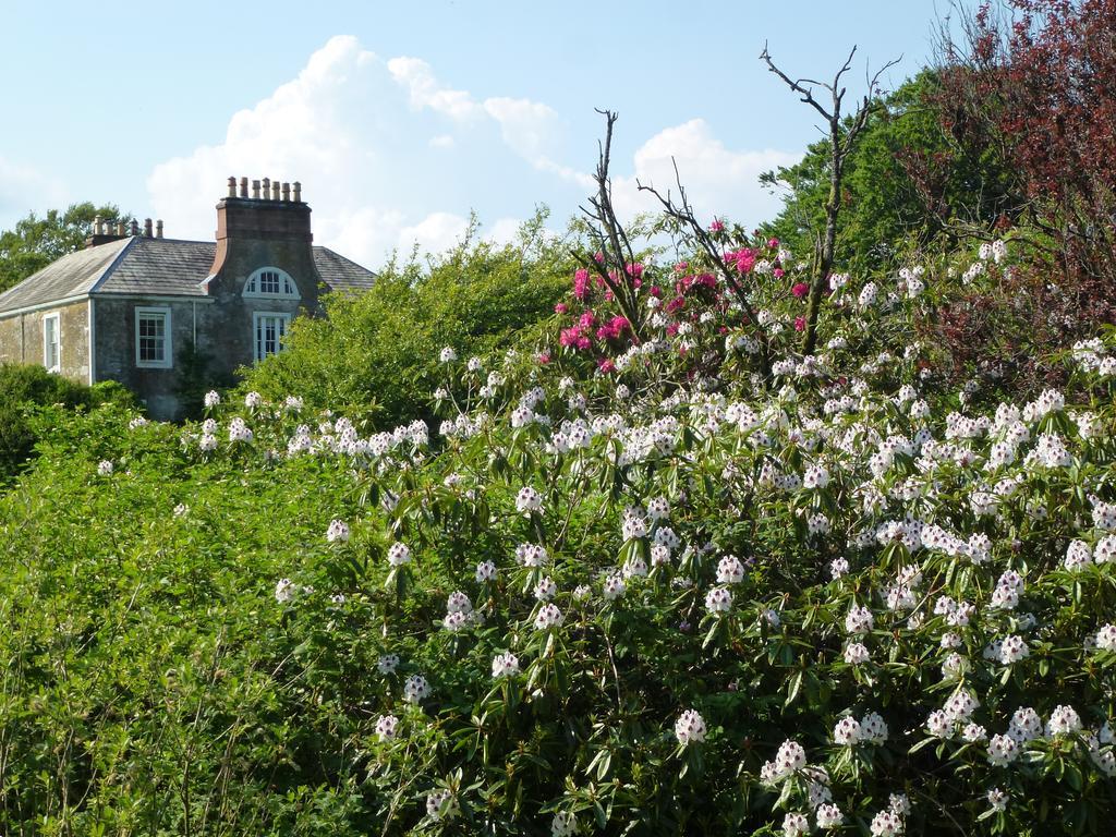 Chipperkyle Country House B&B Kirkpatrick Durham Eksteriør bilde